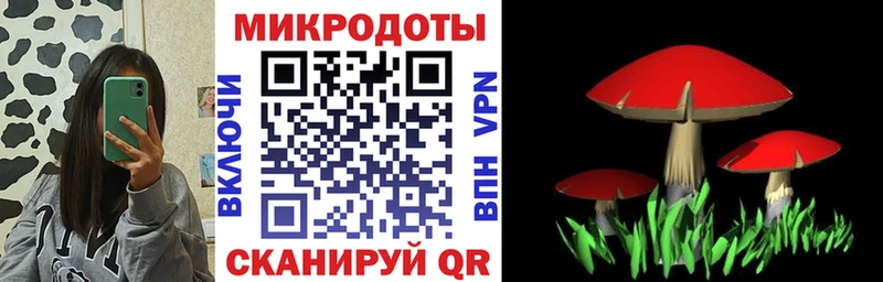 Псилоцибиновые грибы Magic Shrooms  Южа 